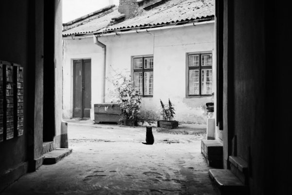 Фотовиставка Ірини Єрошко